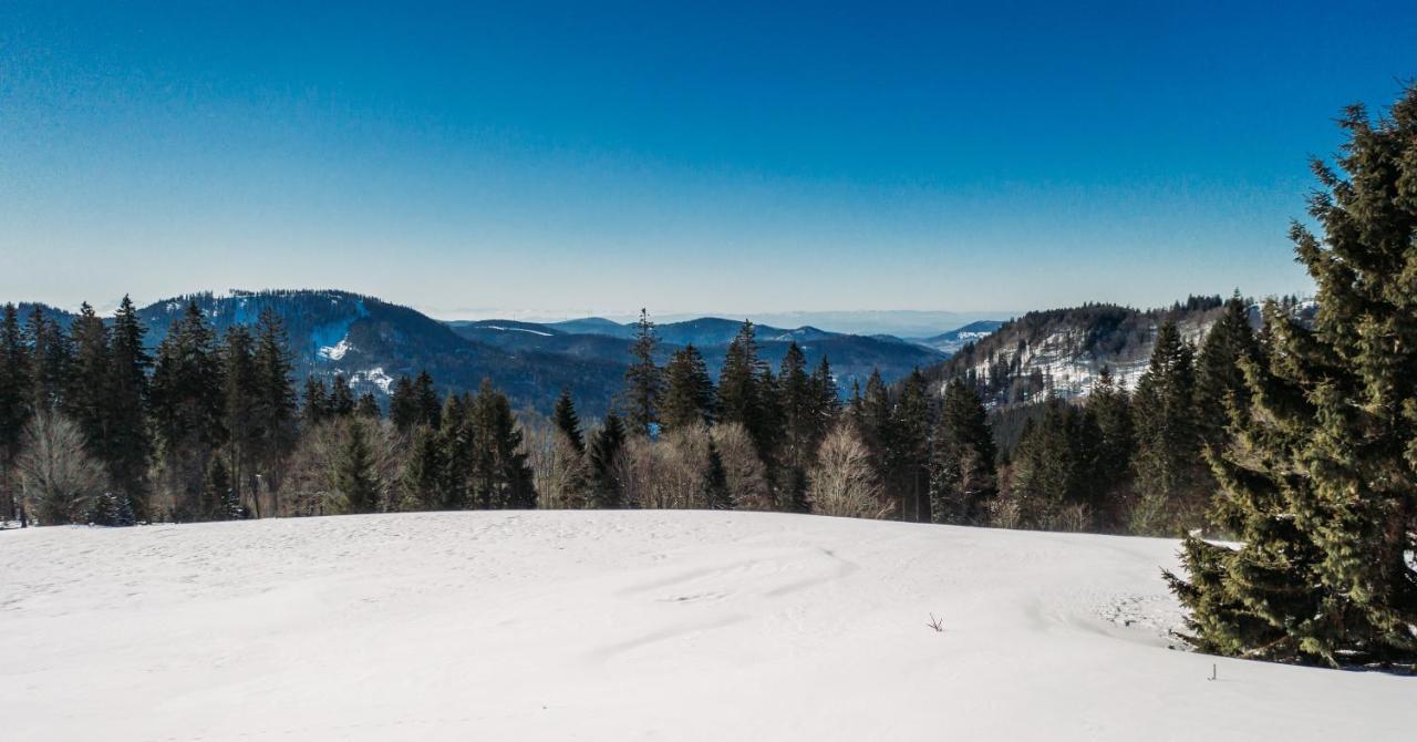 Berggasthof Zur Todtnauer Huette Feldberg  Exterior photo